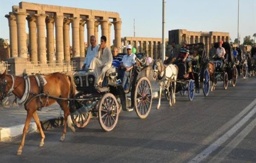 Aswan Horse Carriage Ride